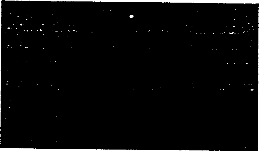 Method for lightening streak image