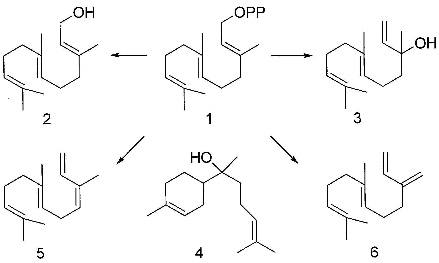 Nerolidol, Terpene, and Terpene Deriviative Synthesis