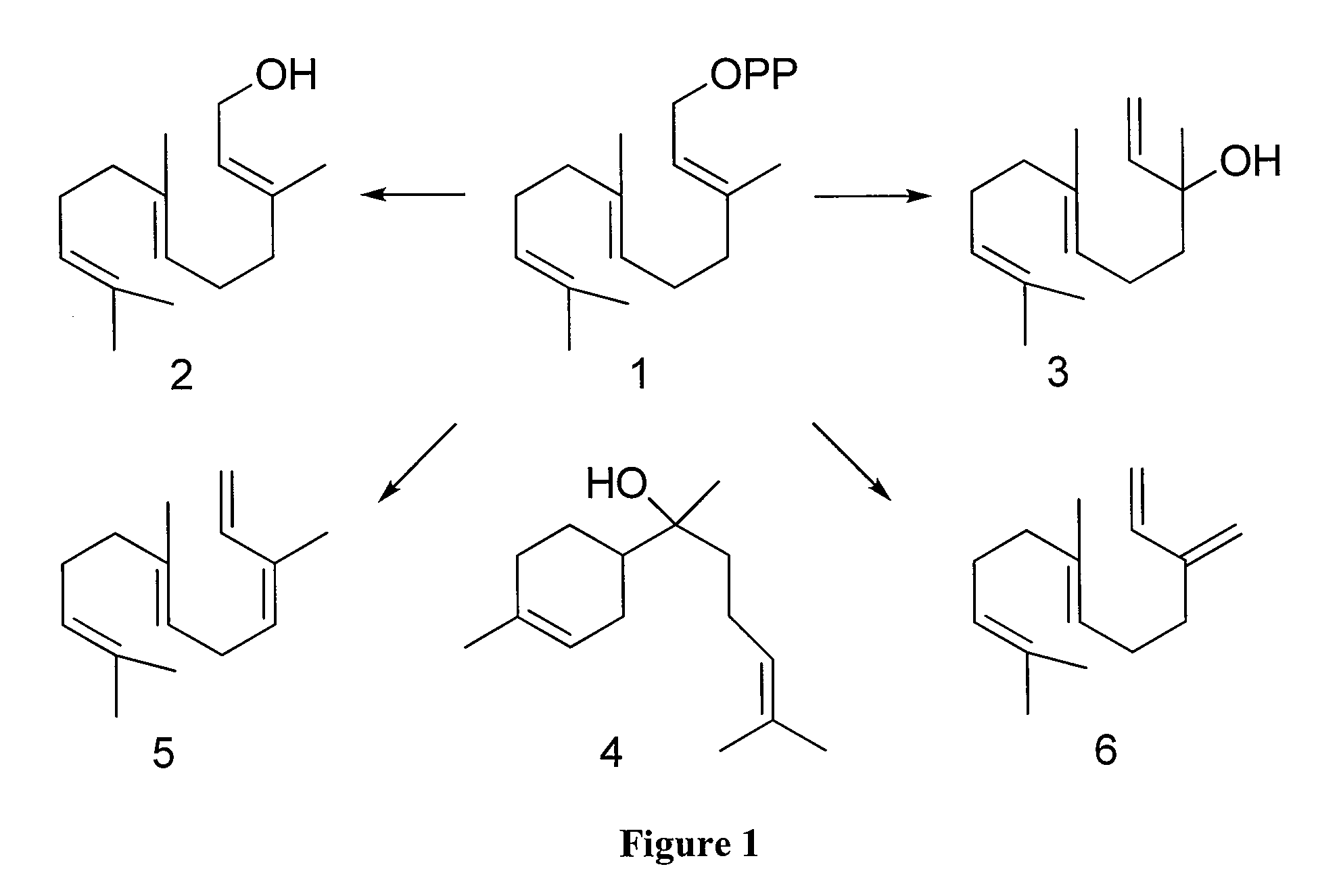 Nerolidol, Terpene, and Terpene Deriviative Synthesis