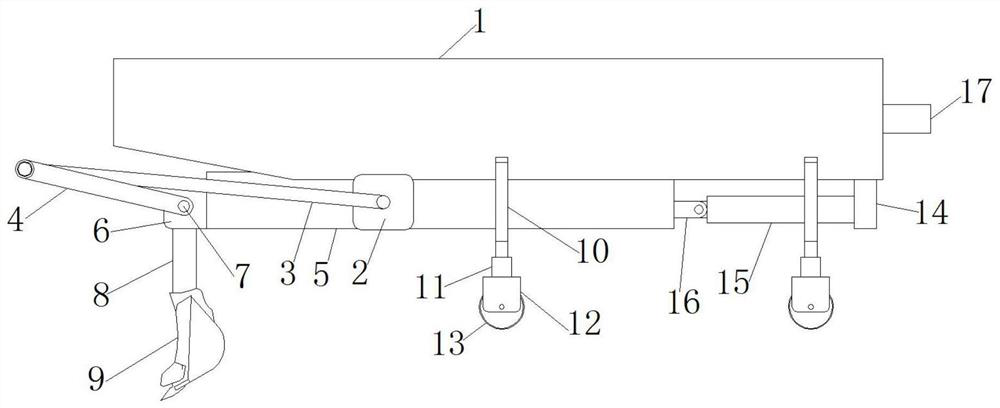 Tree seedling lifter