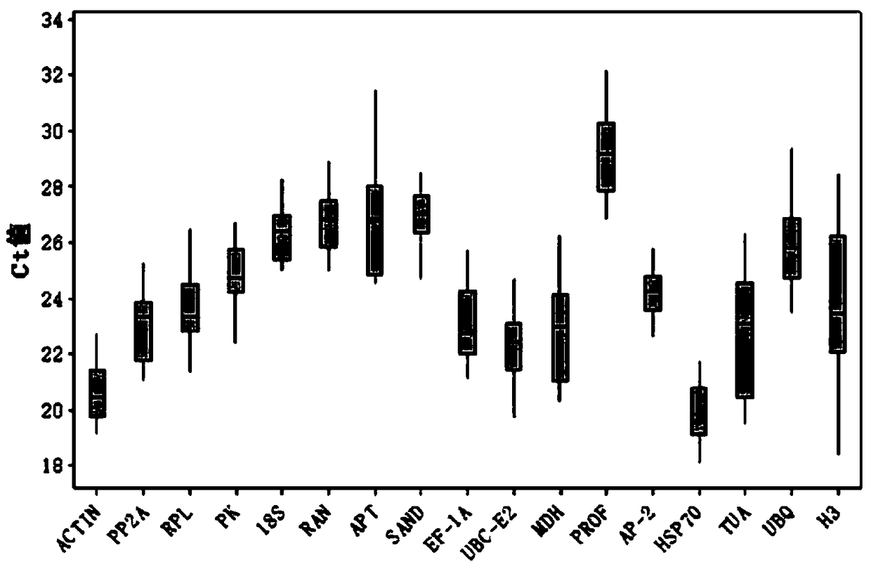 Fluorescence quantitative internal reference genes of different tissues in clerodendrum trichotomum and primers and application thereof