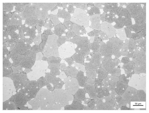 Nickel base powder high temperature alloy and preparation method and application thereof