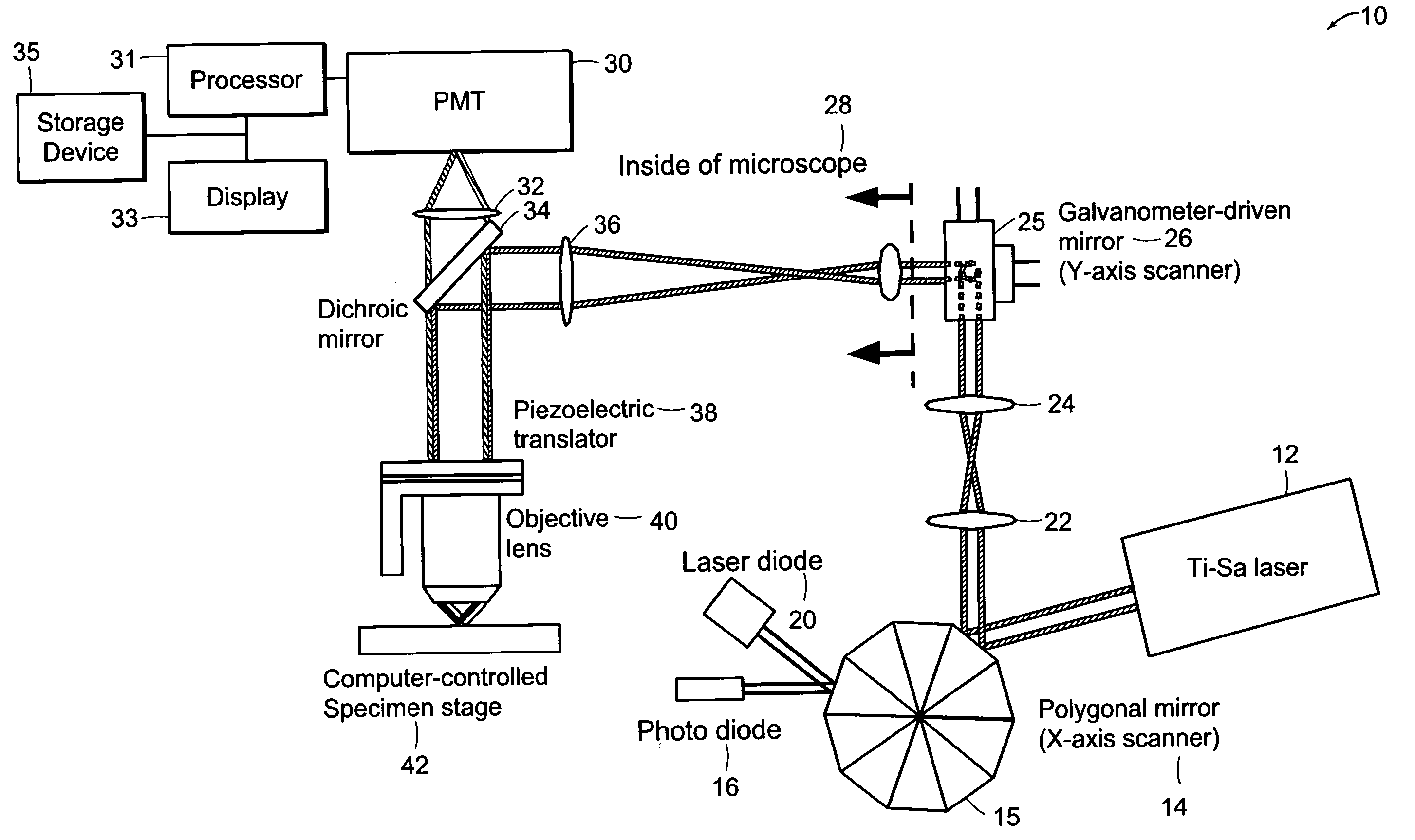 Systems and methods for volumetric tissue scanning microscopy