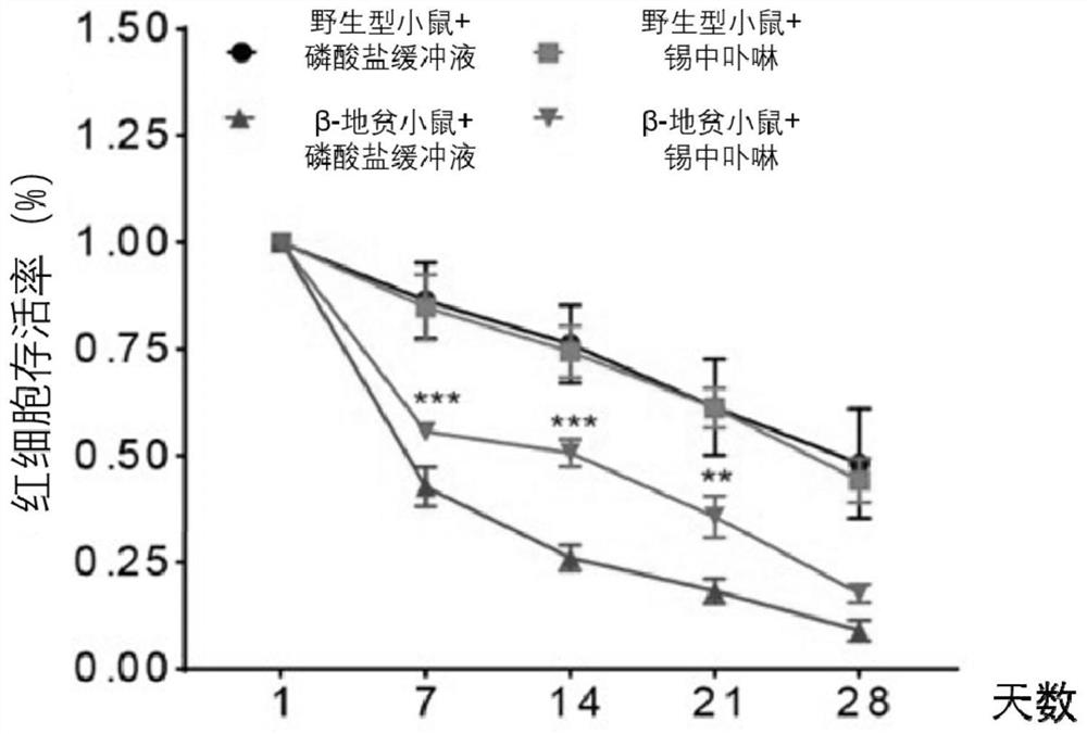 Application of porphyrin in tin in preparation of medicines for treating thalassemia