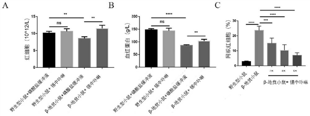 Application of porphyrin in tin in preparation of medicines for treating thalassemia