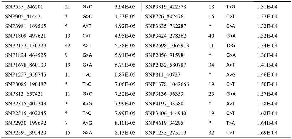 Prawn growth related SNP markers and application thereof in breeding