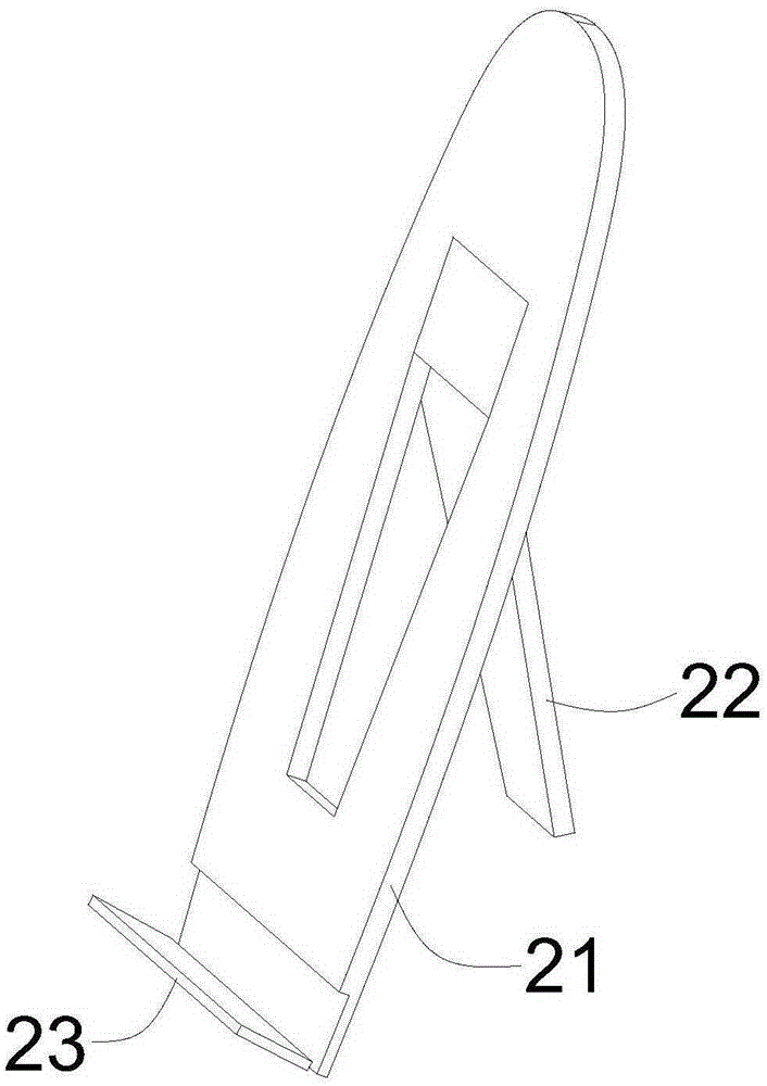 Bag and application thereof