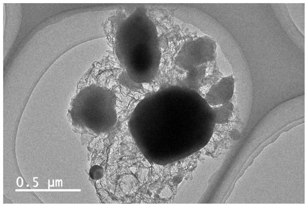 Lithium iron phosphate/carbon nanobelt composite material, preparation method and lithium ion battery