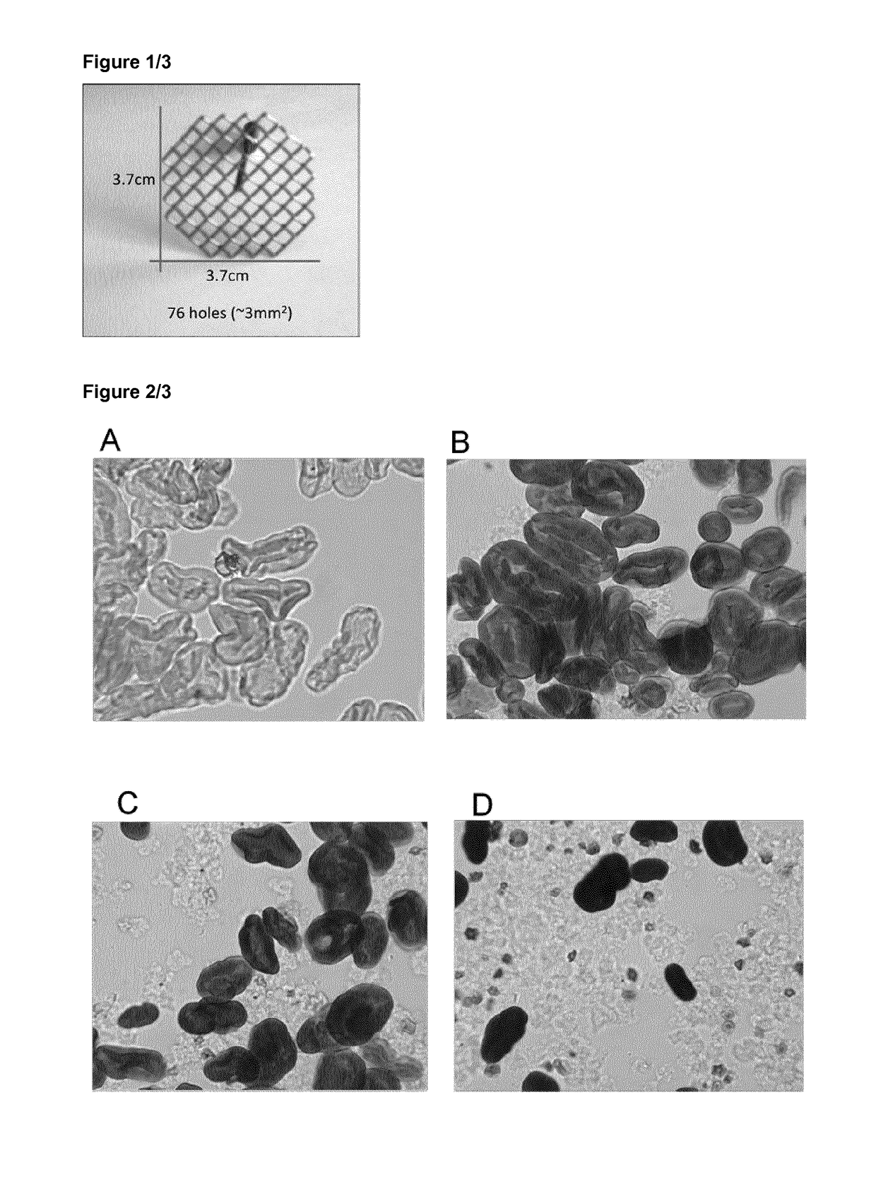 Oil-in-water emulsion containing first flour and second flour high in amylopectin