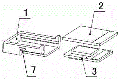 Mounting and protecting structure for organic light emitting diode (OLED) screen of signal lamp