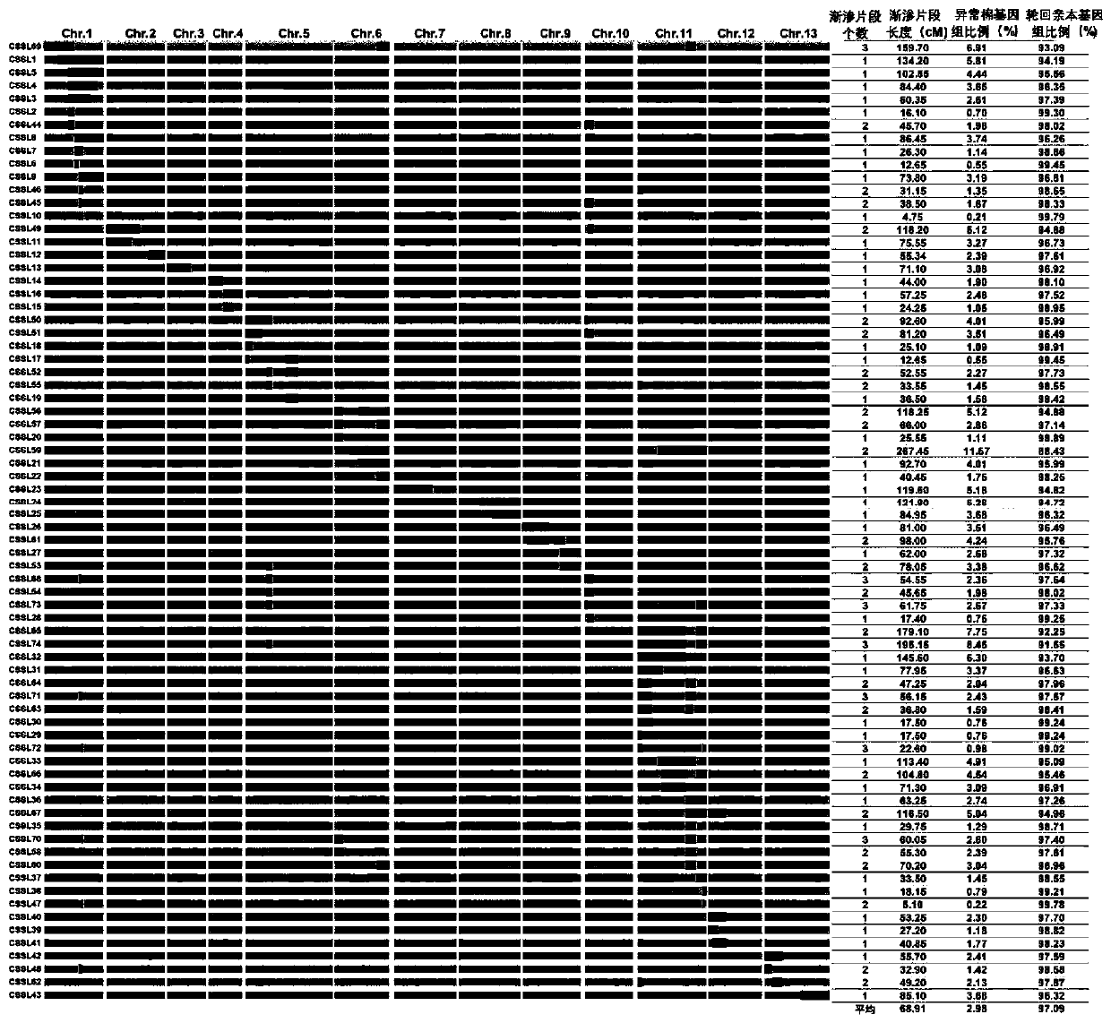 Drought-resistant related SSR sequence derived from abnormal cotton and application thereof