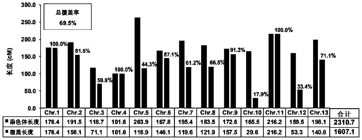 Drought-resistant related SSR sequence derived from abnormal cotton and application thereof