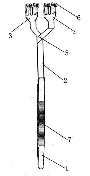 Double-head thyroid drag hook