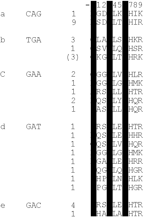 Binding proteins for recognition of DNA