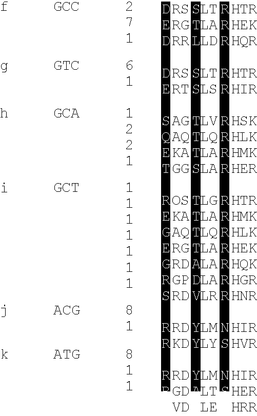 Binding proteins for recognition of DNA