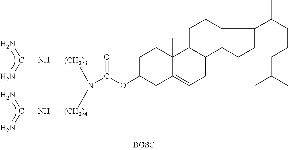 Methods and compositions for interference with DNA polymerase and DNA synthesis