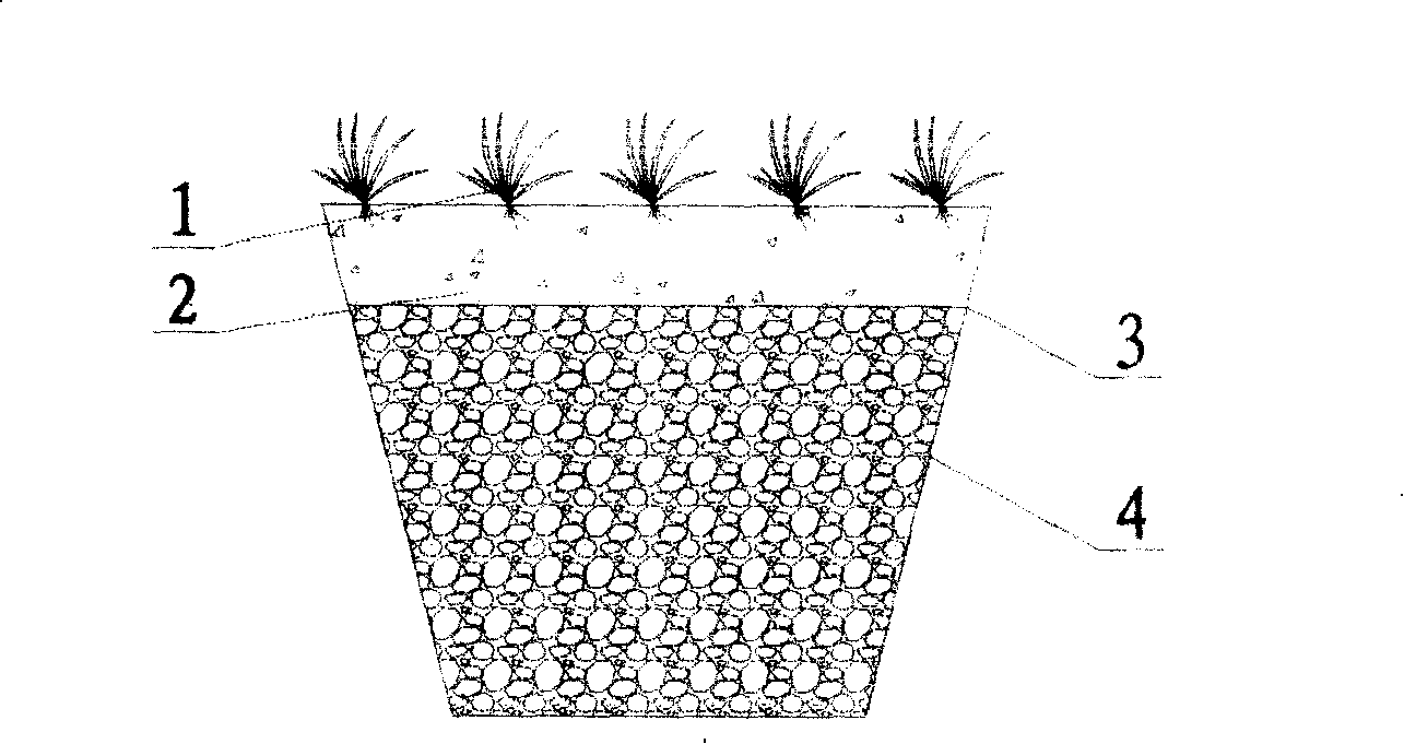 Purifying treatment system for micro-polluted water