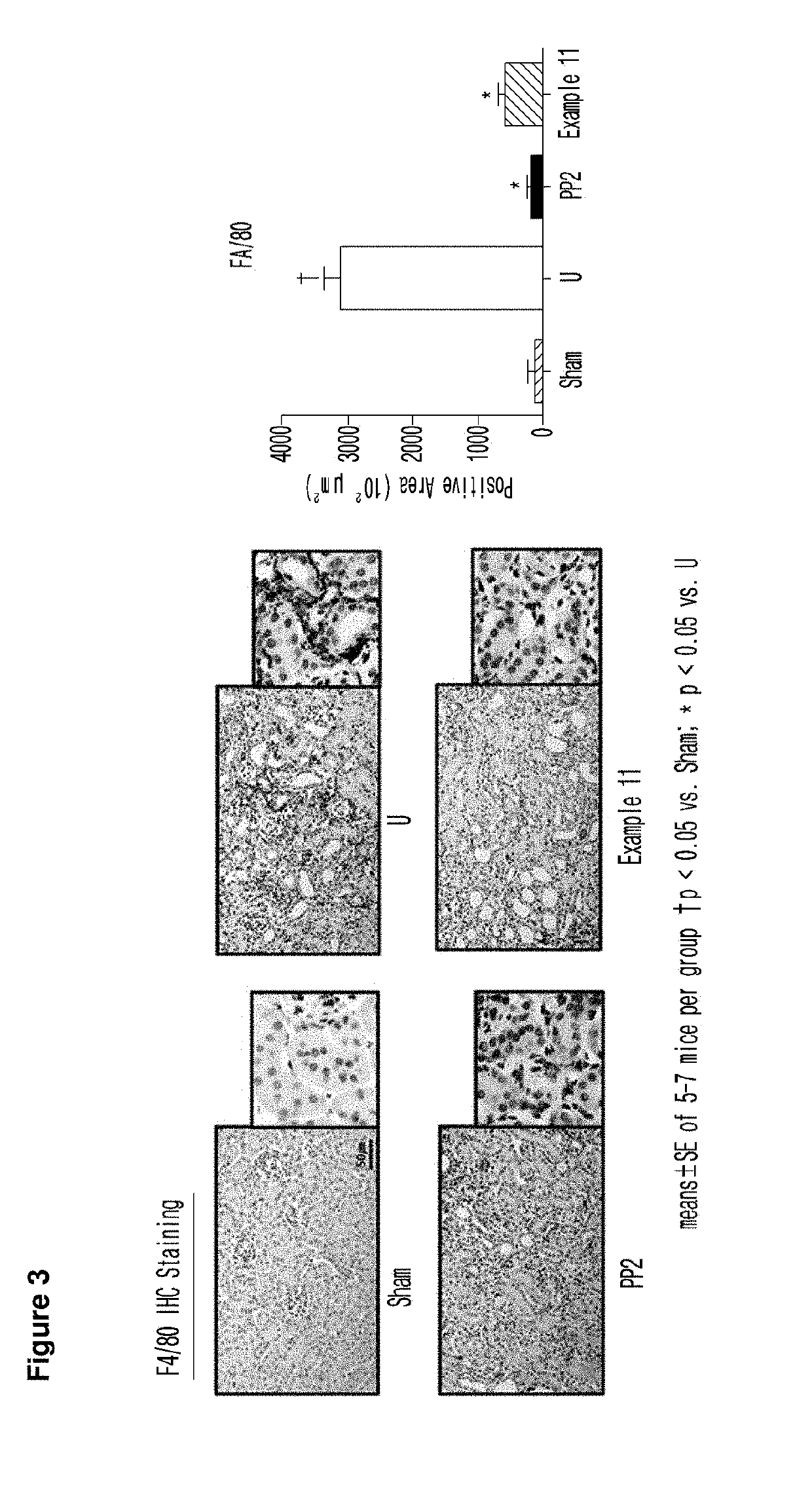 Novel imidazopyridine derivative, method for preparing same, and pharmaceutical composition containing same as active ingredient for preventing or treating cancer