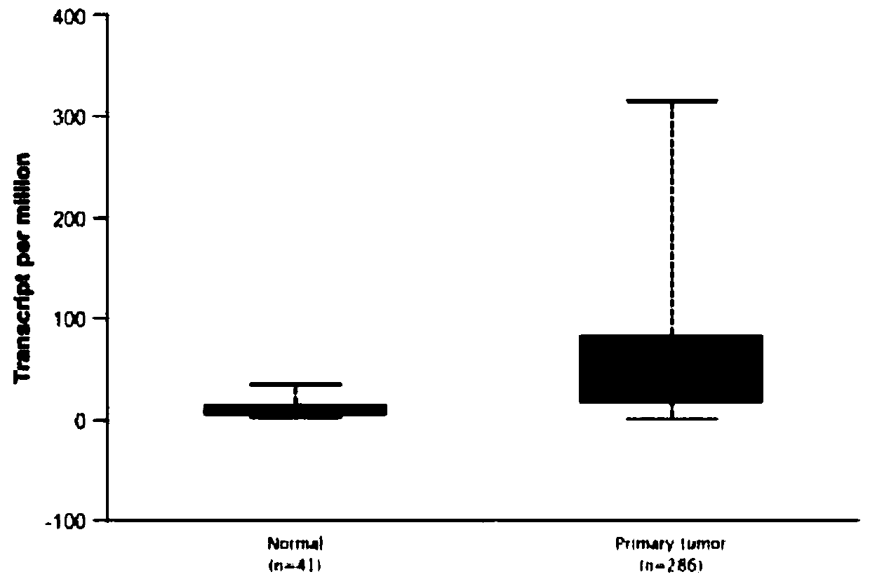 Method and system for discovering utilization of ceRNA mechanism by long non-coding RNA molecular markers through multi-data platform and application