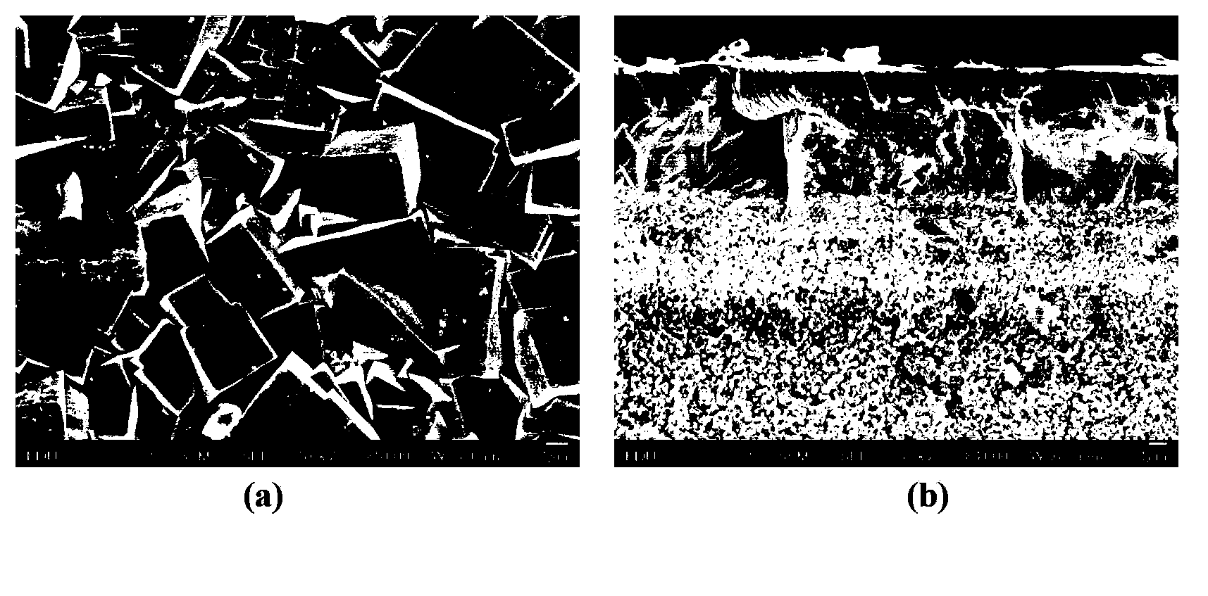 Method for preparing high-performance molecular sieve membrane through ion exchange at melting state