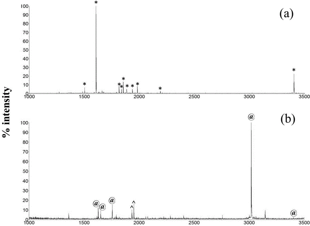 Method for solid-phase enrichment and mass spectrographic analysis of glycosylated peptide fragment