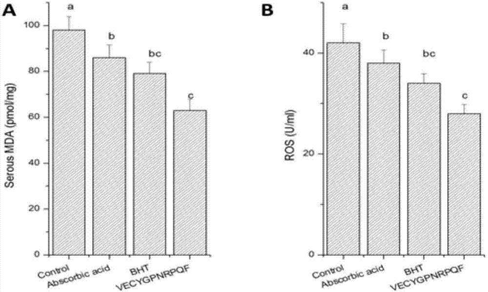 Antioxidant polypeptide expression pichia pastoris engineering bacteria and application