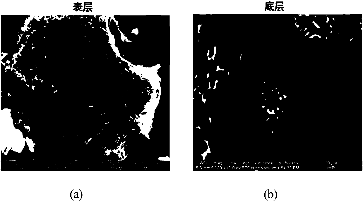 High-temperature fluidized bed reaction device