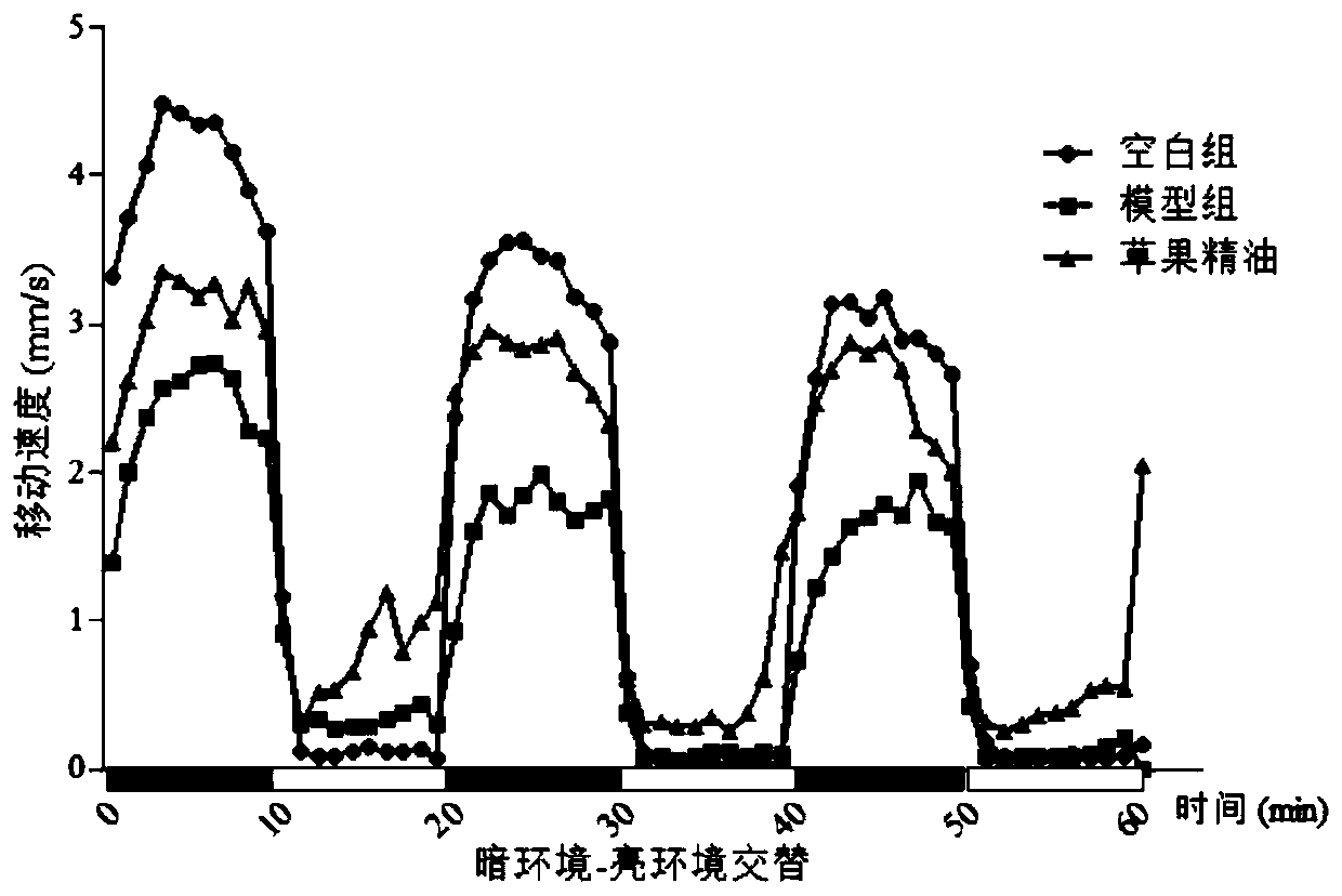 Application of amomum tsao-ko essential oil