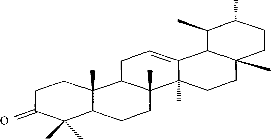 Antitumor usage of 3-carbonyl-12-alkene-ursane compound