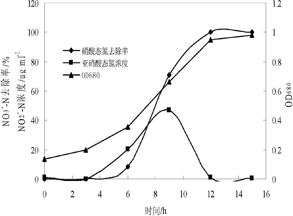 Pseudomonas stutzeri and its culture, immobilization and use