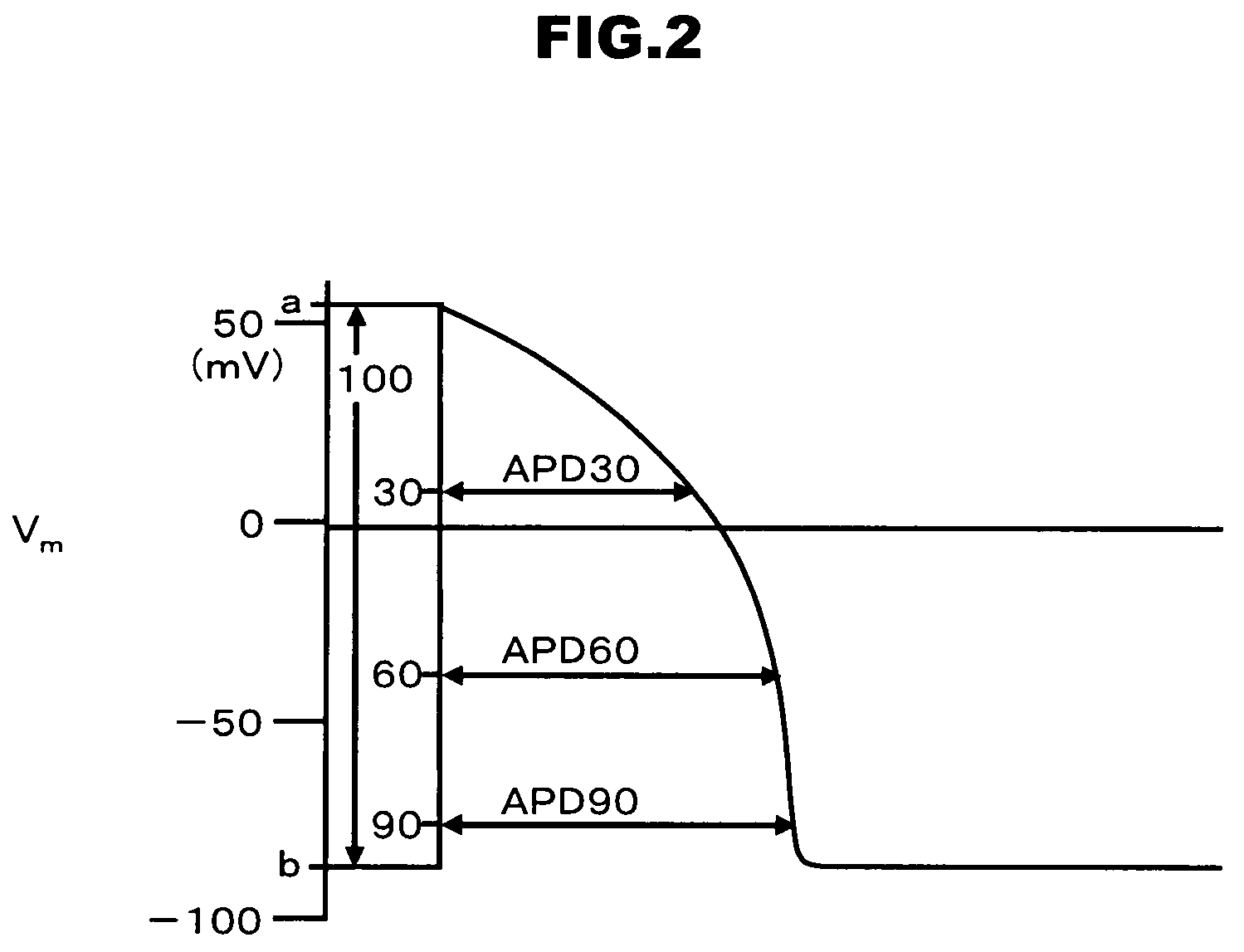 Biological parameter output apparatus and program