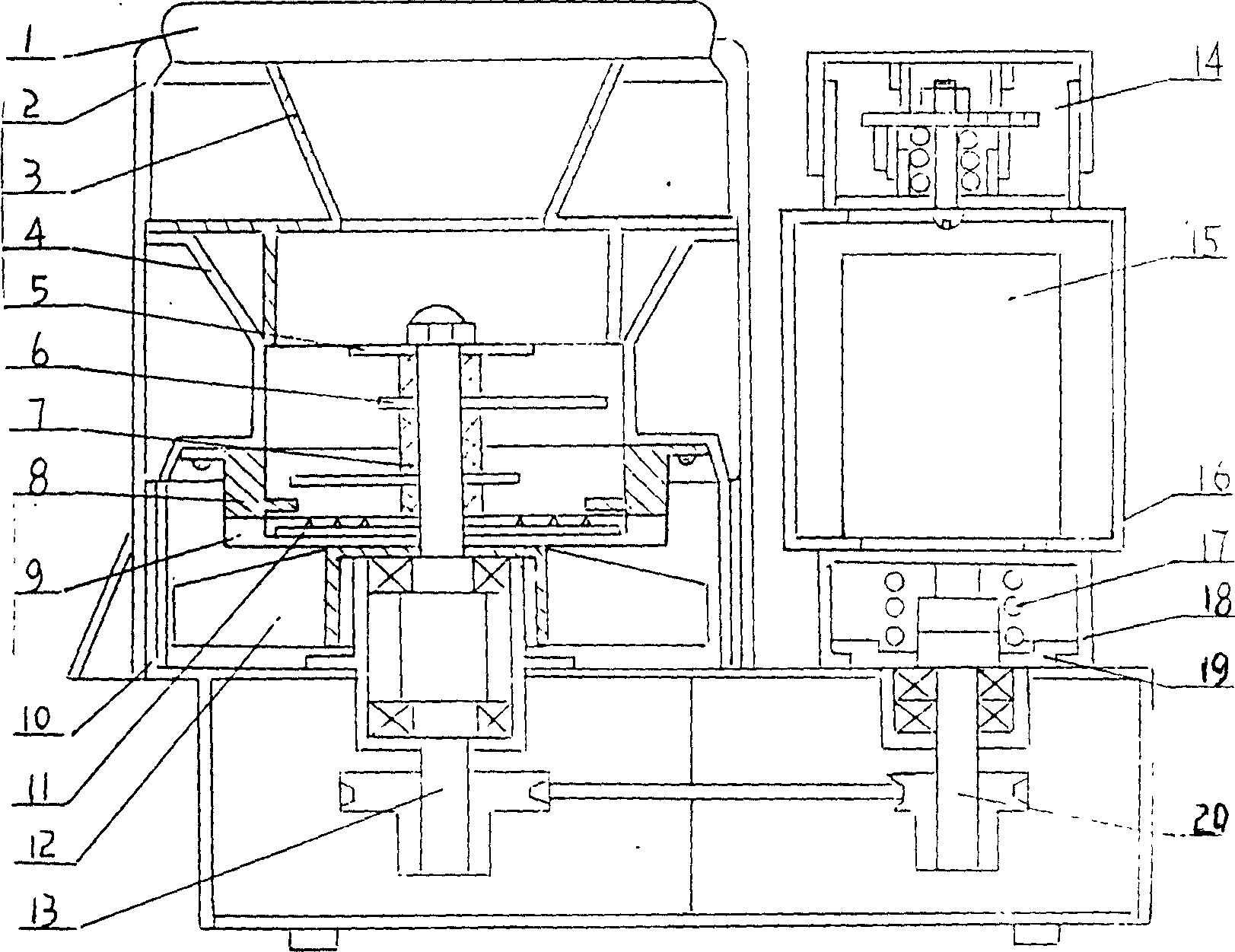 Multifunctional fruit and vegetable processor