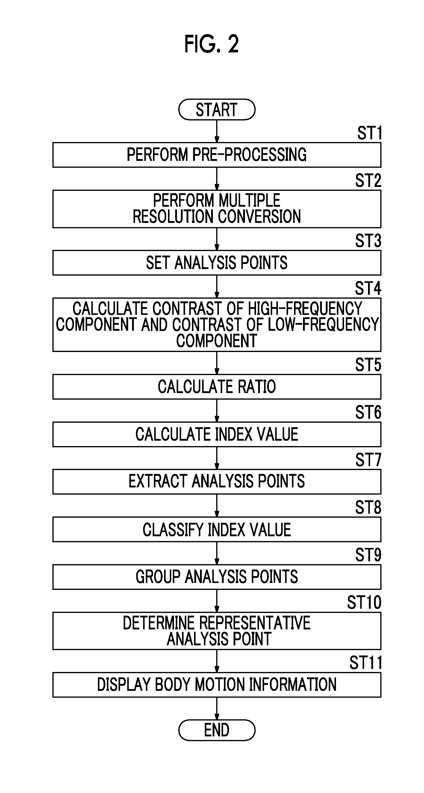 Body motion display device and body motion display method