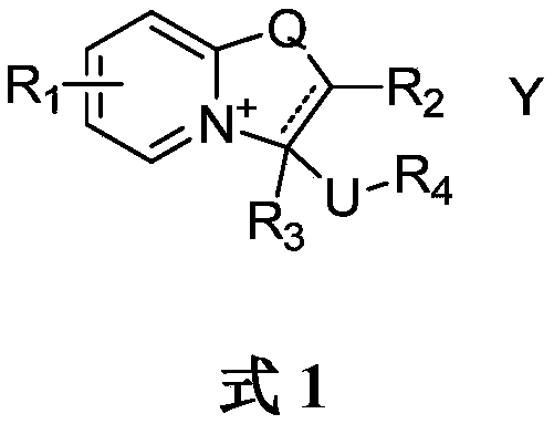 Oxazolopyridine quaternary ammonium salt compound and preparation method and application thereof