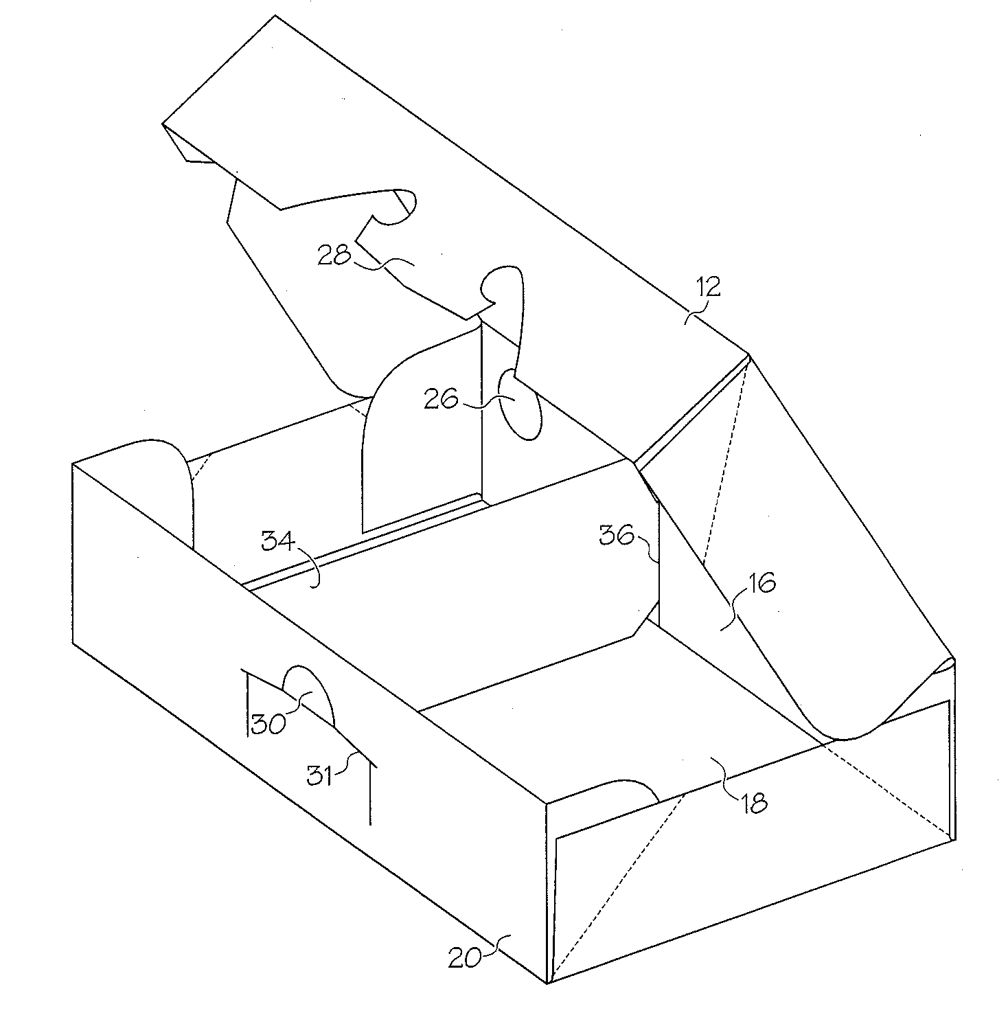 Carton with foldout partition