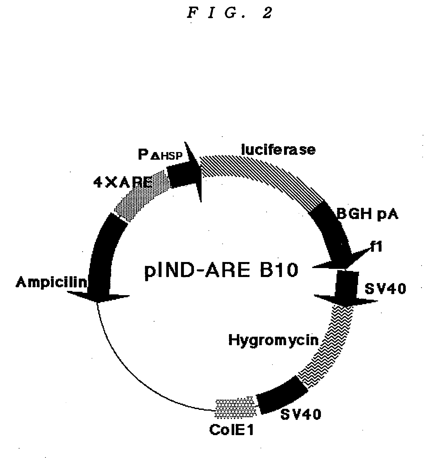 Reporter gene assay method