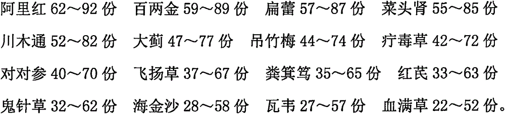 Traditional Chinese medicine preparation for treating chronic nephritic syndrome and preparation method thereof