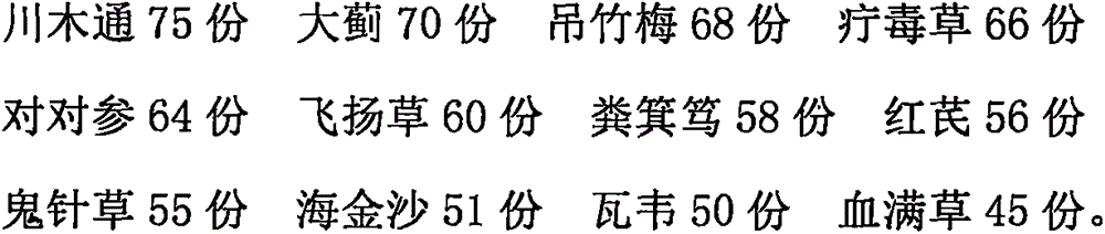 Traditional Chinese medicine preparation for treating chronic nephritic syndrome and preparation method thereof