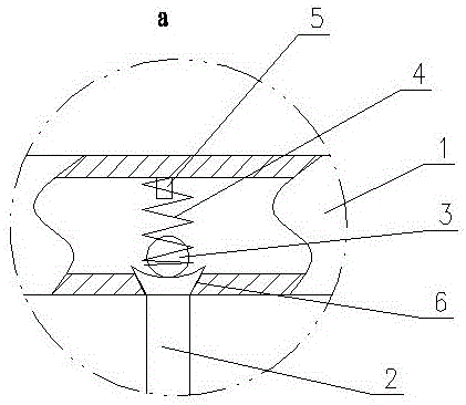 Automatic water feeding device for poultry