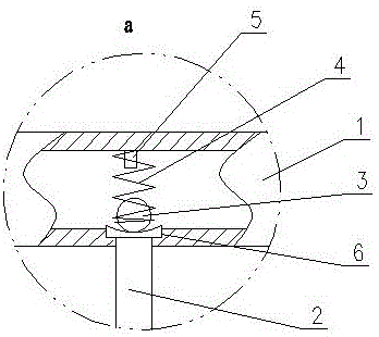 Automatic water feeding device for poultry