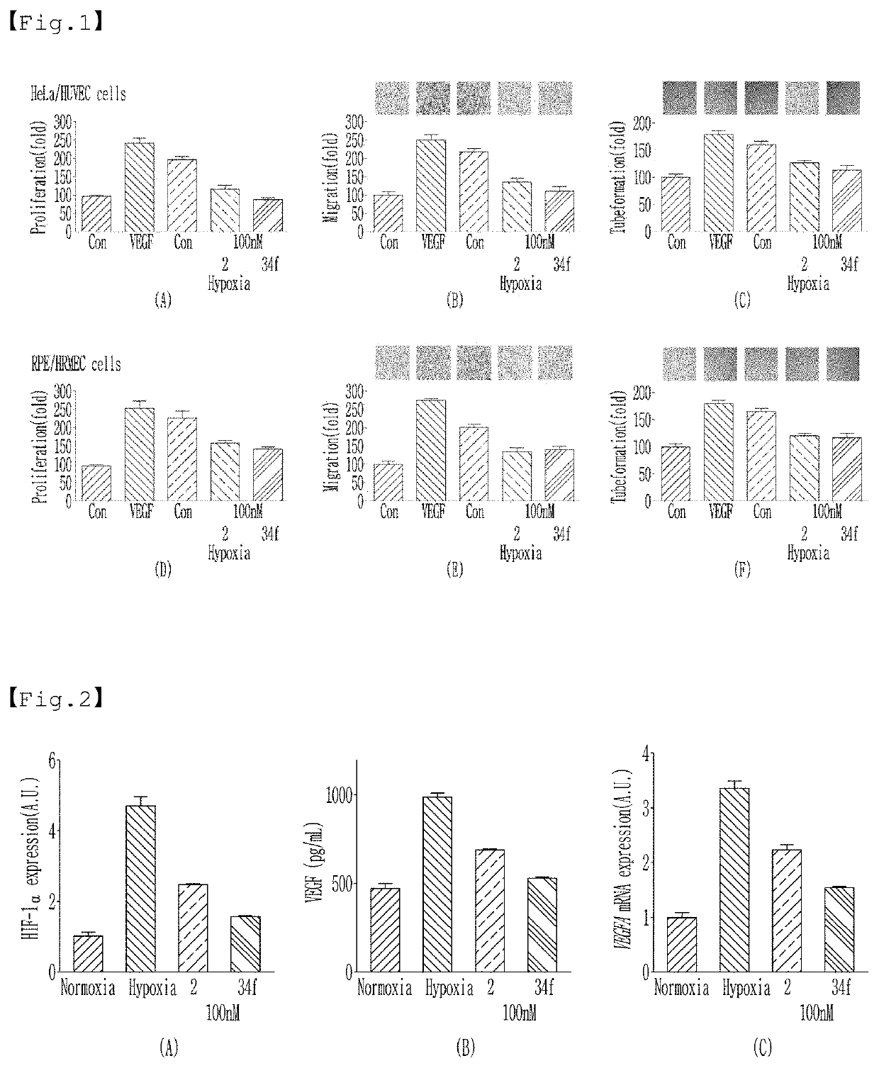 Novel hif-1alpha inhibitor, preparation method therefor, and pharmaceutical composition for preventing or treating angiogenesis-associated eye disease, containing same as active ingredient