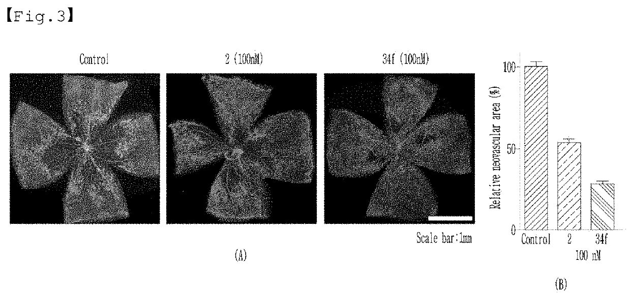 Novel hif-1alpha inhibitor, preparation method therefor, and pharmaceutical composition for preventing or treating angiogenesis-associated eye disease, containing same as active ingredient