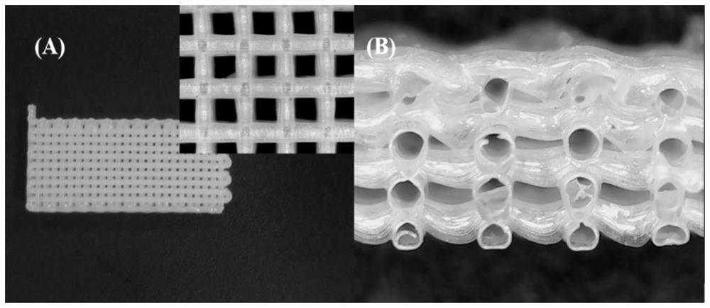 Preparation method of hollow tube micro-lattice structure ceramic material