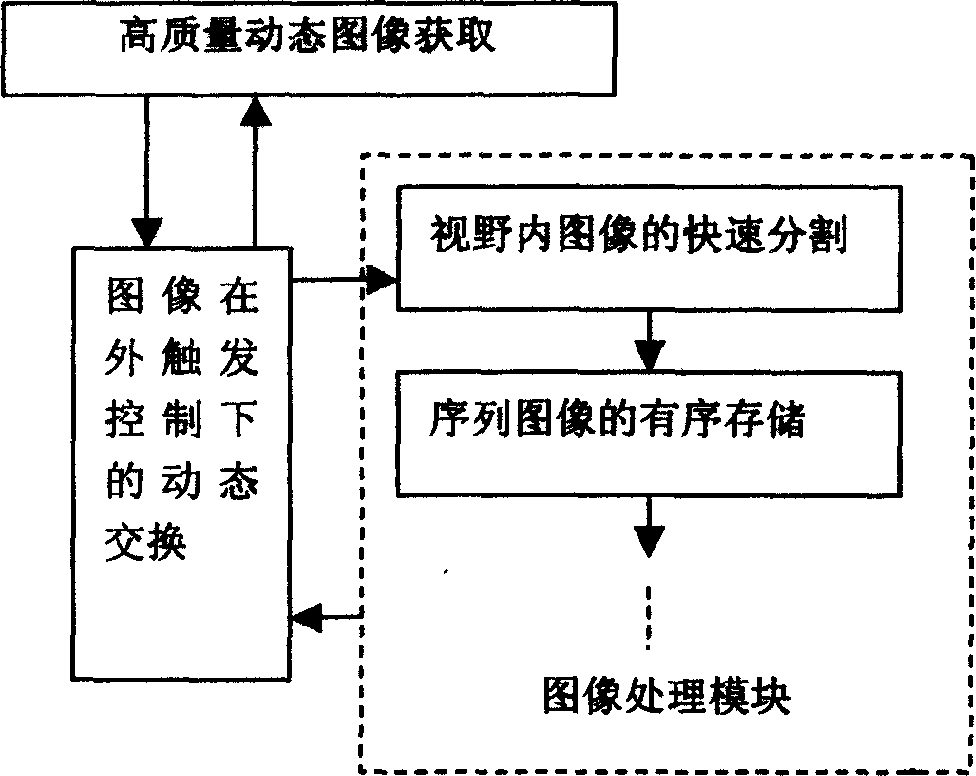 Visual data processing system for fruit external appearance quality online detection technology