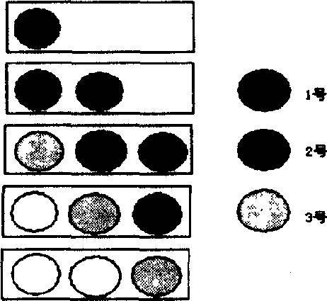 Visual data processing system for fruit external appearance quality online detection technology