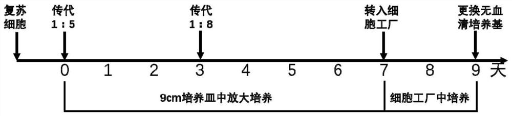 Method for preparing recombinant protein