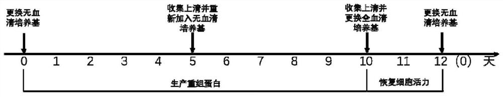 Method for preparing recombinant protein