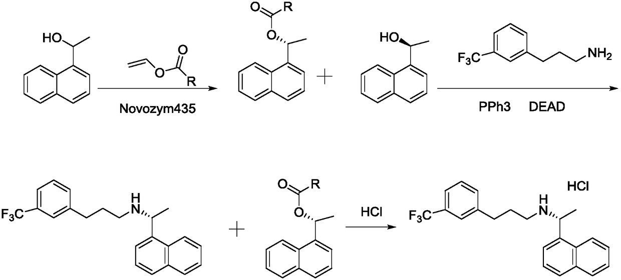 Chemical-enzyme method used for synthesis of cinacalcet