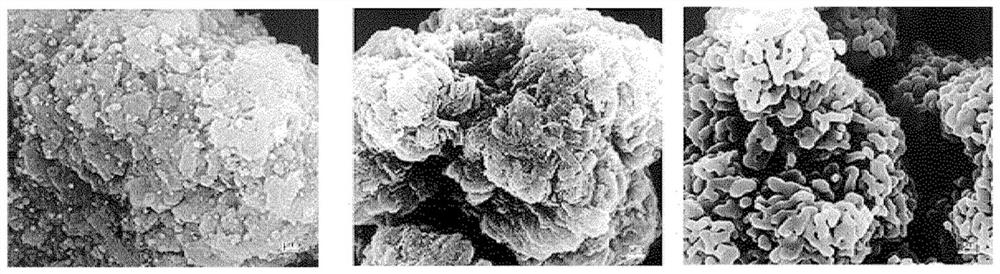 Method for preparing alumina catalyst, alumina catalyst prepared using same, and method for preparing propylene using alumina catalyst