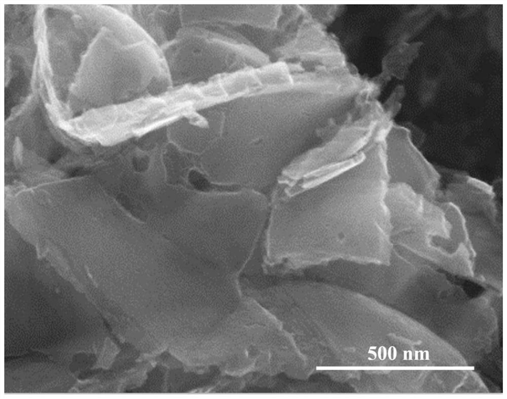 Method for preparing high-purity porous graphite